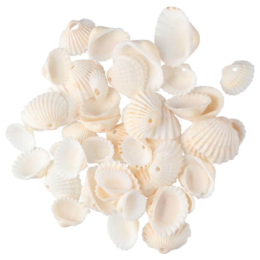 6271 100 Grams White Natural Spiral Shell Beads,Oval Seashells Spacer Beads